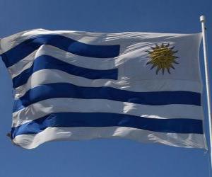 Puzzle Σημαία της Ουρουγουάης